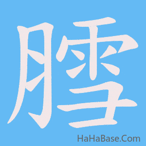 《膤》的筆順動畫寫字動畫演示