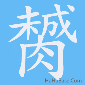 《膥》的筆順動畫寫字動畫演示