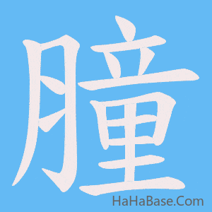 《膧》的筆順動畫寫字動畫演示
