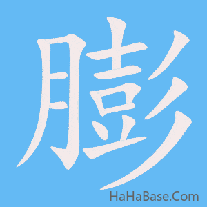 《膨》的筆順動畫寫字動畫演示