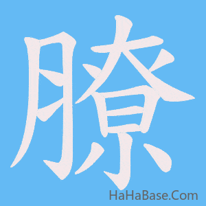 《膫》的筆順動畫寫字動畫演示