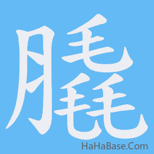 《膬》的筆順動畫寫字動畫演示