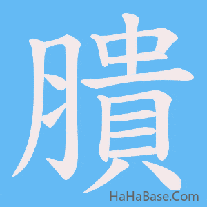 《膭》的筆順動畫寫字動畫演示