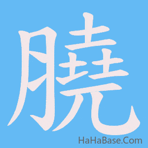 《膮》的筆順動畫寫字動畫演示