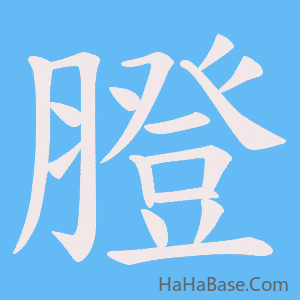 《膯》的筆順動畫寫字動畫演示