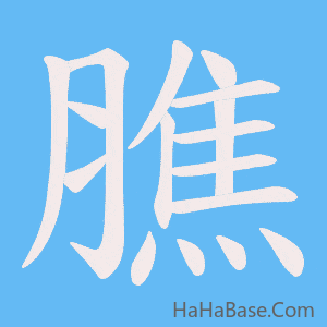 《膲》的筆順動畫寫字動畫演示