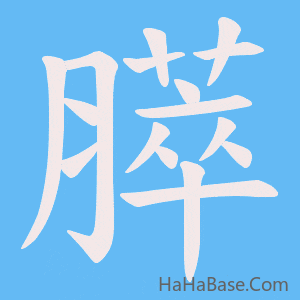 《膵》的筆順動畫寫字動畫演示
