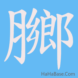 《膷》的筆順動畫寫字動畫演示