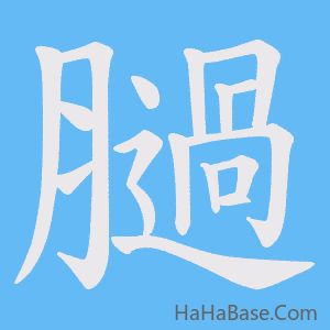 《膼》的筆順動畫寫字動畫演示