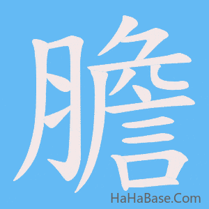《膽》的筆順動畫寫字動畫演示