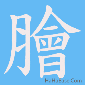 《膾》的筆順動畫寫字動畫演示