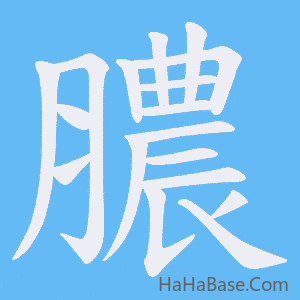 《膿》的筆順動畫寫字動畫演示