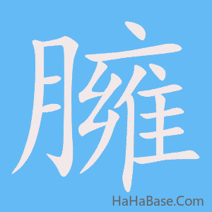 《臃》的筆順動畫寫字動畫演示