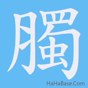 《臅》的筆順動畫寫字動畫演示