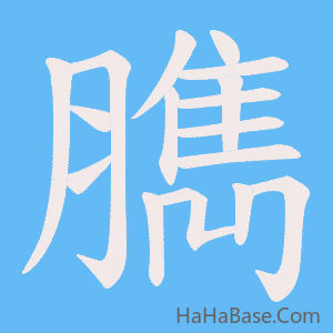 《臇》的筆順動畫寫字動畫演示