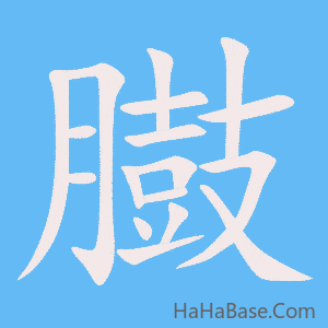 《臌》的筆順動畫寫字動畫演示