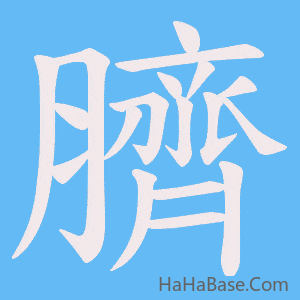 《臍》的筆順動畫寫字動畫演示