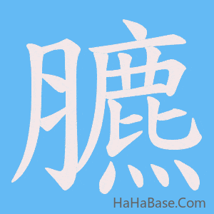 《臕》的筆順動畫寫字動畫演示