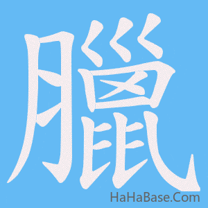 《臘》的筆順動畫寫字動畫演示