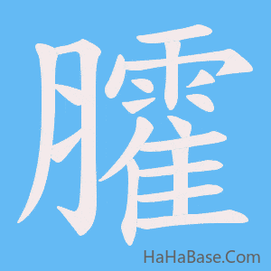 《臛》的筆順動畫寫字動畫演示