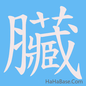 《臟》的筆順動畫寫字動畫演示