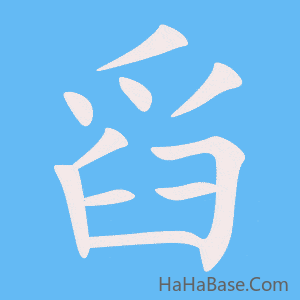 《舀》的筆順動畫寫字動畫演示