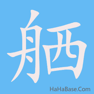 《舾》的筆順動畫寫字動畫演示