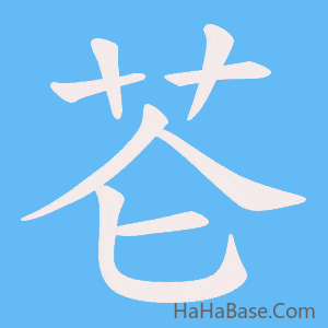 《芲》的筆順動畫寫字動畫演示