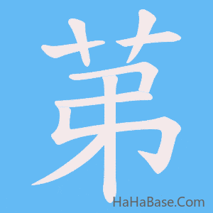 《苐》的筆順動畫寫字動畫演示