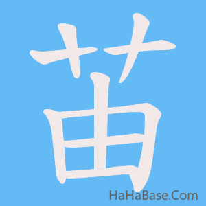 《苖》的筆順動畫寫字動畫演示
