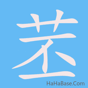 《苤》的筆順動畫寫字動畫演示