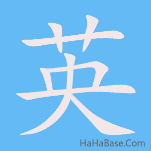 《英》的筆順動畫寫字動畫演示