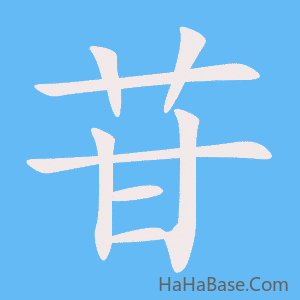 《苷》的筆順動畫寫字動畫演示