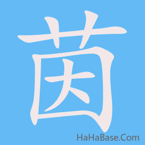 《茵》的筆順動畫寫字動畫演示