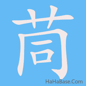 《茼》的筆順動畫寫字動畫演示