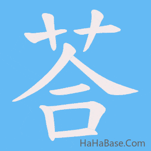 《荅》的筆順動畫寫字動畫演示