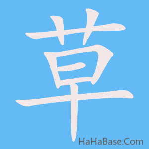 《草》的筆順動畫寫字動畫演示