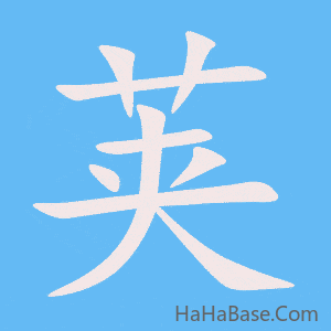 《荚》的筆順動畫寫字動畫演示