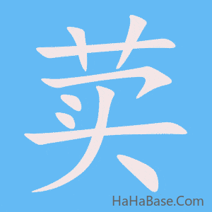 《荬》的筆順動畫寫字動畫演示