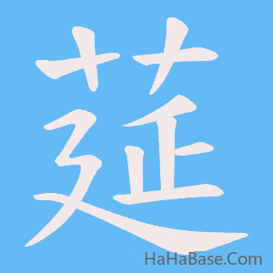 《莚》的筆順動畫寫字動畫演示