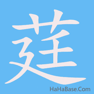 《莛》的筆順動畫寫字動畫演示