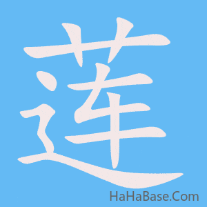 《莲》的筆順動畫寫字動畫演示