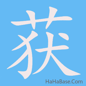 《获》的筆順動畫寫字動畫演示