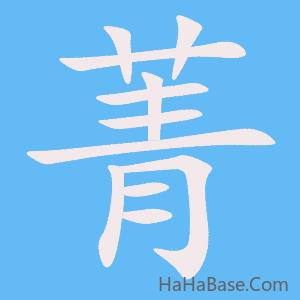 《菁》的筆順動畫寫字動畫演示