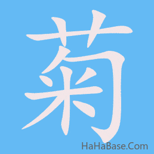 《菊》的筆順動畫寫字動畫演示