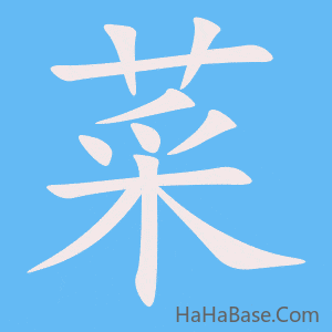 《菜》的筆順動畫寫字動畫演示