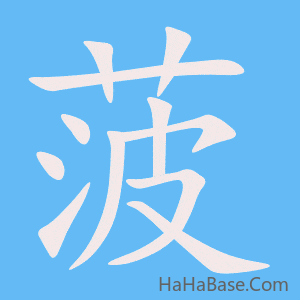 《菠》的筆順動畫寫字動畫演示