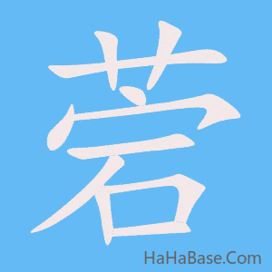 《菪》的筆順動畫寫字動畫演示