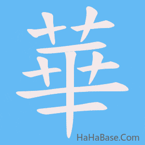《華》的筆順動畫寫字動畫演示