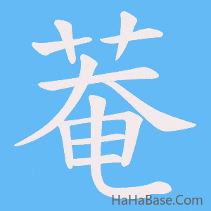 《菴》的筆順動畫寫字動畫演示